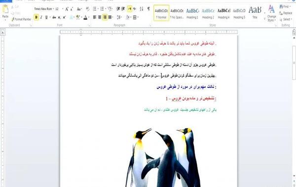 عکس بک گراند در ورد