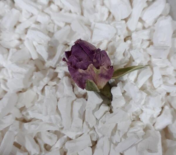 عکس نشاسته گل