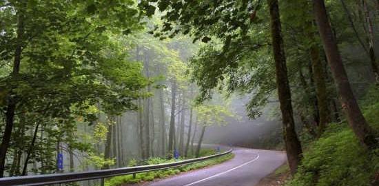 عکس طبیعت زیبای شمال برای پروفایل