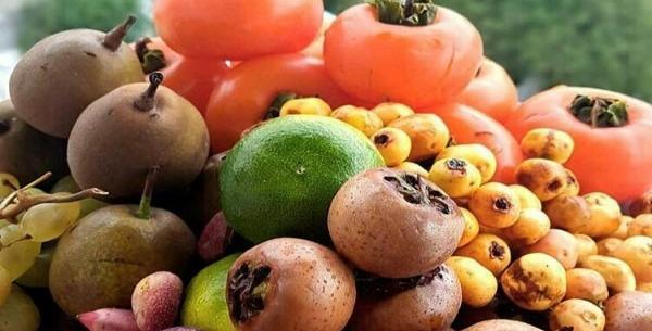 عکس پروفایل میوه های پاییزی