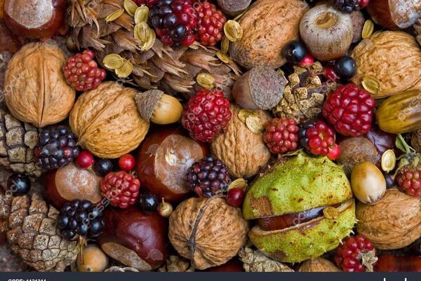عکس پروفایل میوه های پاییزی