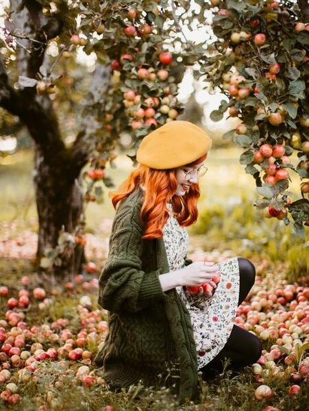 عکس پروفایل میوه های پاییزی