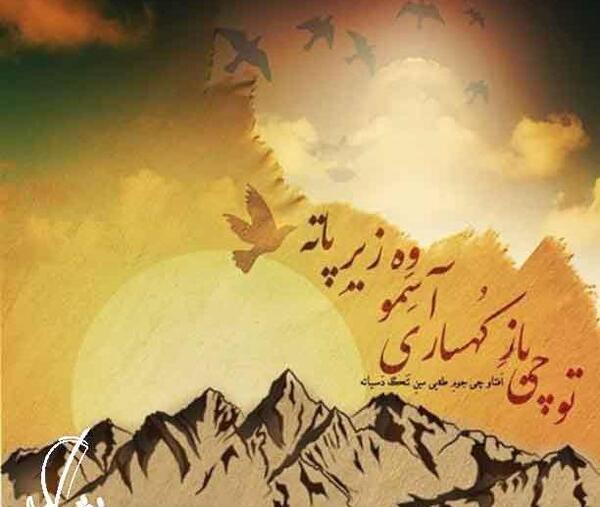 عکس فروزان شهبازی
