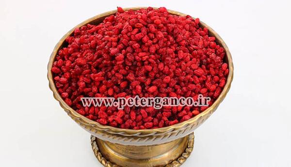 عکس زرشک زرشک