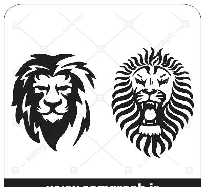 عکس وکتور شیر جنگل