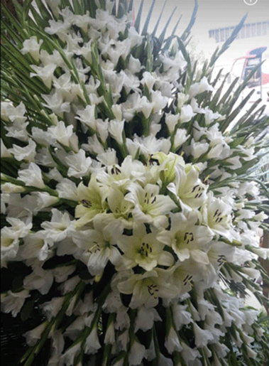 عکس تاج گل ترحیم