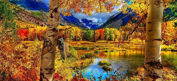عکس پاییز مدرسه