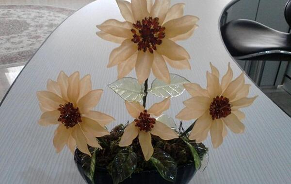 عکس ایده گل