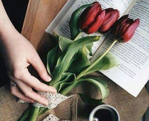عکس ایده گل