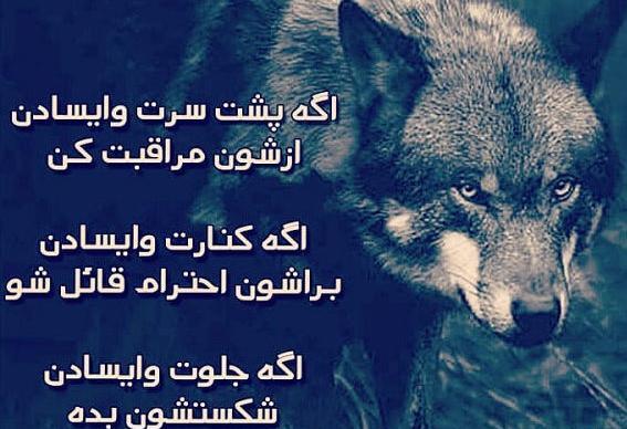 عکس انتقام جویی
