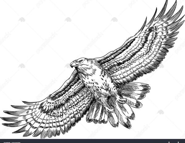 عکس وکتور شاهین