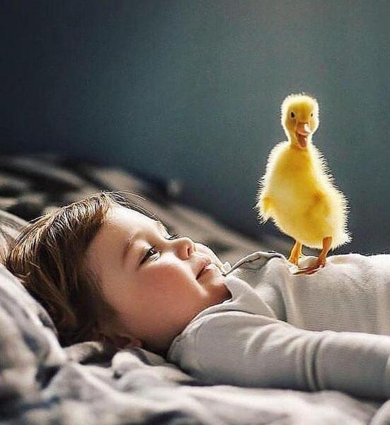 عکس پس زمینه بچه گانه