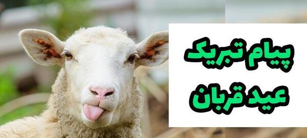 ایده عکس عید قربان
