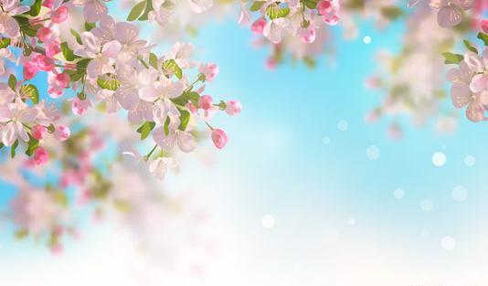 عکس بک گراند پاور