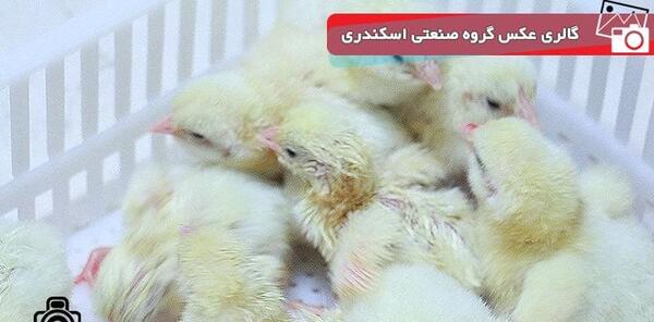 عکس گروه صنعتی