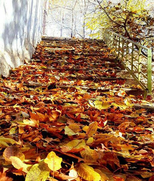 عکس پاییز اصفهان