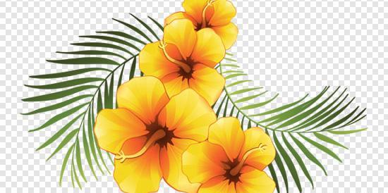عکس فرمت png