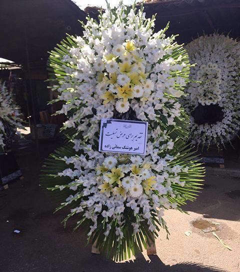 عکس تاج گل سر مزار