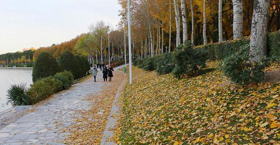 عکس پاییز طلایی