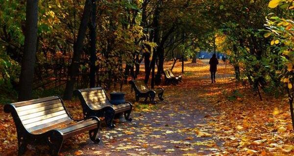 عکس پاییز طلایی