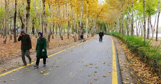 عکس پاییز طلایی