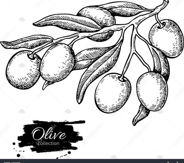 عکس نقاشی فانتزی میوه ها