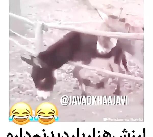 عکس پروفایل رفیق بی کلک مادر