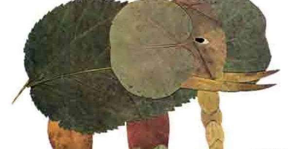 عکس حیوانات با برگ پاییزی