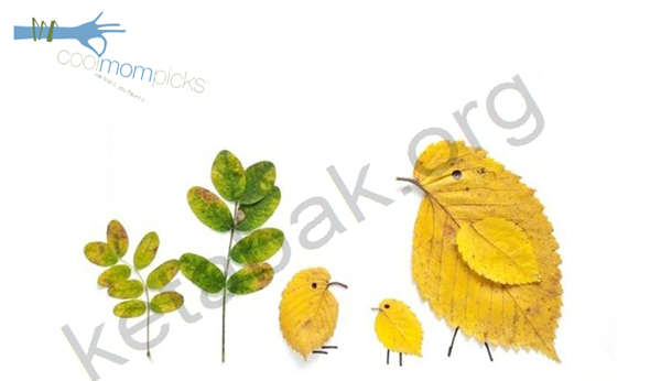 عکس حیوانات با برگ پاییزی