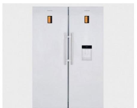 عکس داخل یخچال دوقلو اسنوا