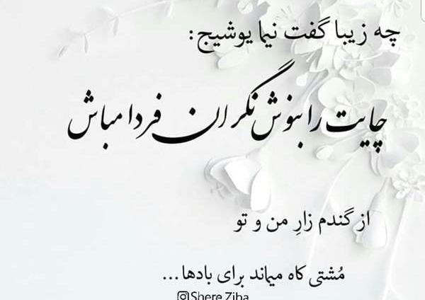 عکس نوشته از گندمزار من و تو