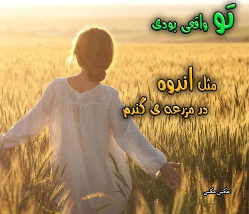 عکس نوشته از گندمزار من و تو