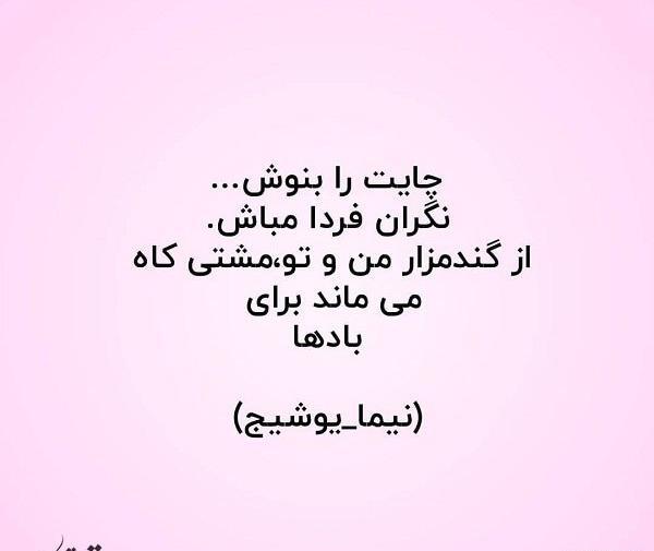 عکس نوشته از گندمزار من و تو