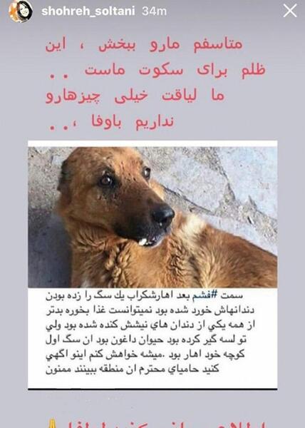 عکس شهره سلطانی با سگش