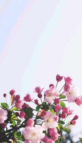 عکس پس زمینه عکس نوشته