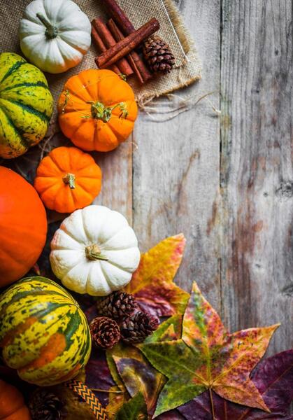 عکس پس زمینه پاییزی دخترانه