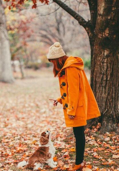 عکس پس زمینه پاییزی دخترانه