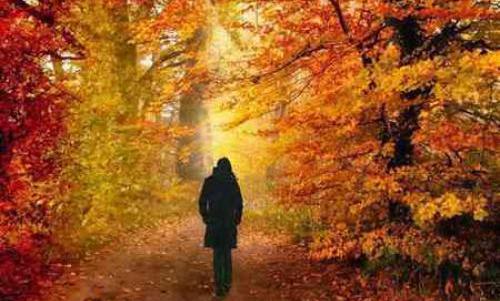 عکس پاییز غمناک