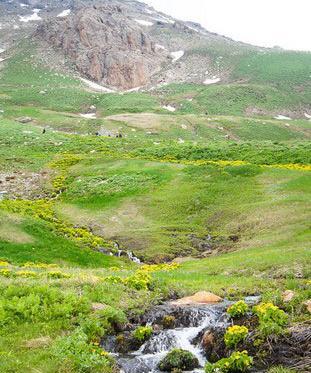 عکس طبیعت چشمه