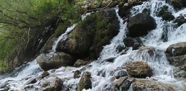 عکس طبیعت چشمه