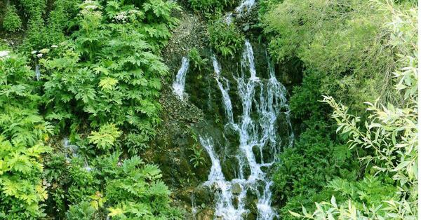 عکس طبیعت چشمه