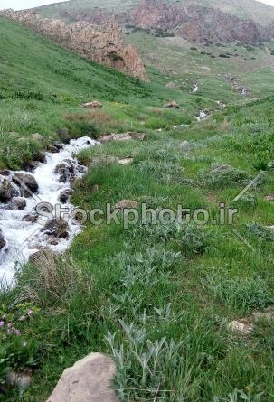 عکس طبیعت چشمه