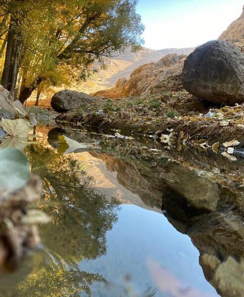 عکس طبیعت چشمه