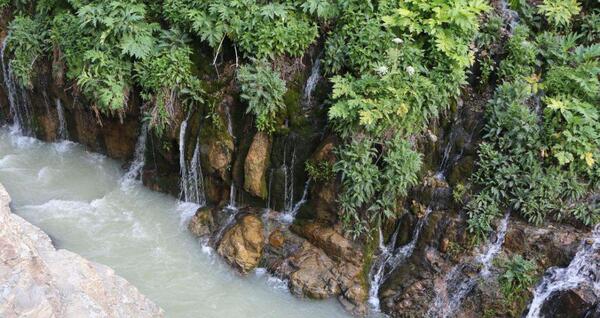 عکس طبیعت چشمه