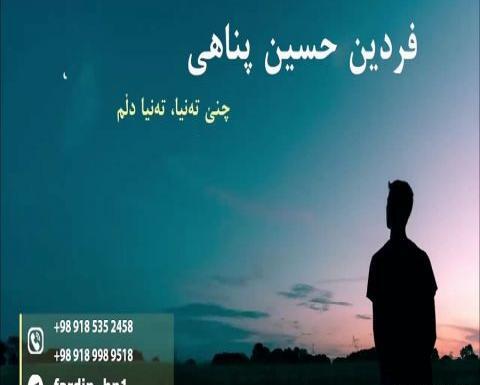 عکس فردین حسین پناهی