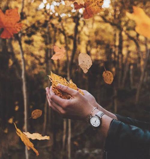 عکس پاییز مردانه