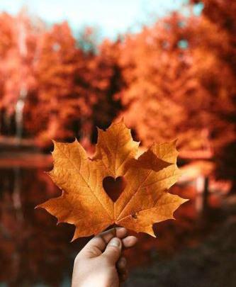 عکس پاییز مردانه