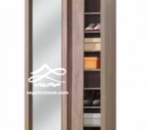 عکس جاکفشی ایستاده جدید