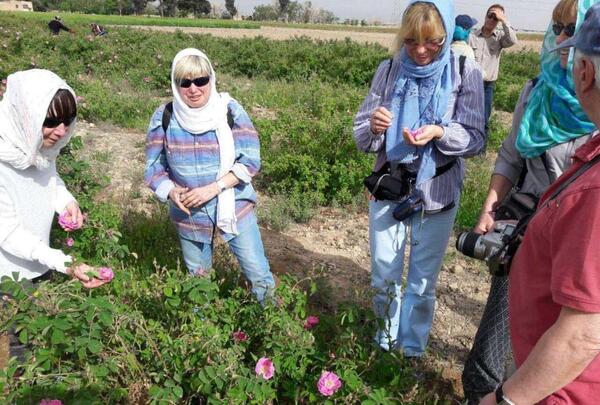 عکس زن گل محمدی
