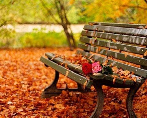 زیباترین عکس پاییز